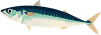 Single Fish